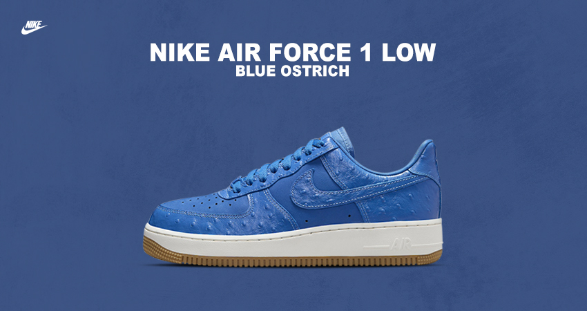 Nike’s “Blue Ostrich” Air Force 1 Eggs Hatch This Spring